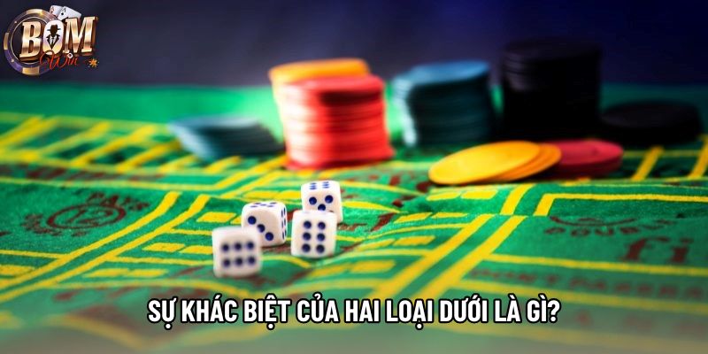 Sự khác biệt của hai loại dưới là gì?